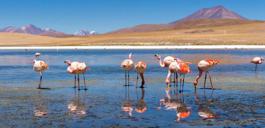 SANTIAGO E DESERTO DO ATACAMA